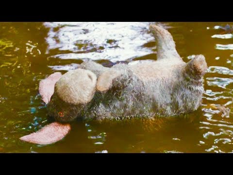 CHRISTOPHER ROBIN "Eeyore Rescue" Movie Clip - UCnIup-Jnwr6emLxO8McEhSw