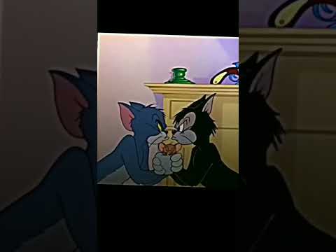 Sigma Tom 🗿#Shorts