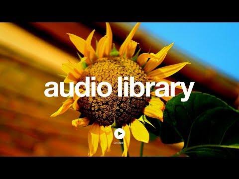 Sunflower - Topher Mohr and Alex Elena (No Copyright Music) - UCht8qITGkBvXKsR1Byln-wA