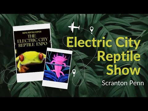 Electric City Reptile Show Join us as we head to Scranton Penn to the Electric City Reptile Show. See a little of the area, our