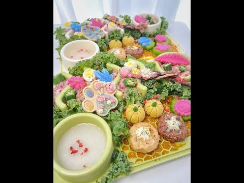 双狗配餐~秋天🍂的南瓜🎃餐 好吃😋 #抖in萌宠计划 #狗吃的比我好系列 #自制狗饭 #狗狗吃饭 #不养狗不知道养狗的乐趣