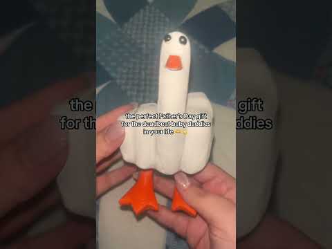 Funny Gift for Dads: A Mini Thank You for All the Character Growth