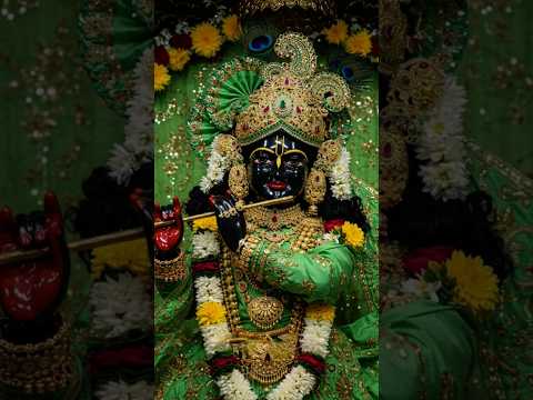 बोलो वृंदावन बिहार लाल की जय 🙏🏼✨️#bankebihari #virdavan #shyam #treanding #ytshaorts