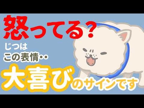 それ、誤解です！犬の「唸り」「ムキ顔」は最高にハッピーな証拠だった！