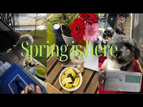 🌞 Sun Run &amp; Sunny Day with <strong>Randy</strong>. vlog