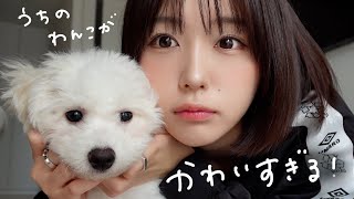 動画サムネイル