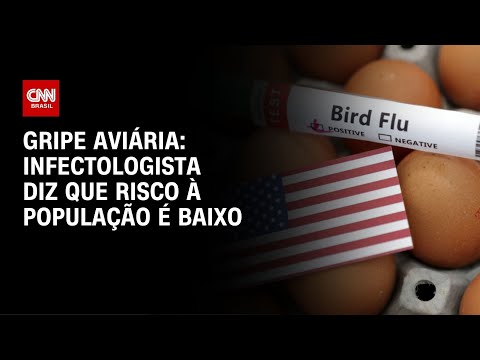 Gripe aviária: Infectologista diz que risco à população é baixo | LIVE CNN