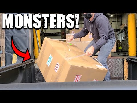 Only 1 Fish Fit In These Massive Boxes! *LIVE FISH Unboxing 12 monster stingrays from The Center for Stingray Biology!

Stingray Biology's Channel_
htt