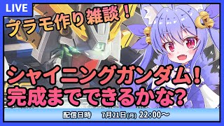 【プラモデル雑談配信】RGシャイニングガンダム！完成までいけるかな？