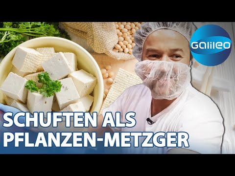 20.000 Stück pro Tag! Martin 2 Tage im Tofu-Schlaraffenland | Galileo | ProSieben