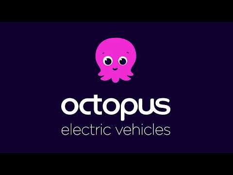 Why do companies love Octopus Electric Vehicles?