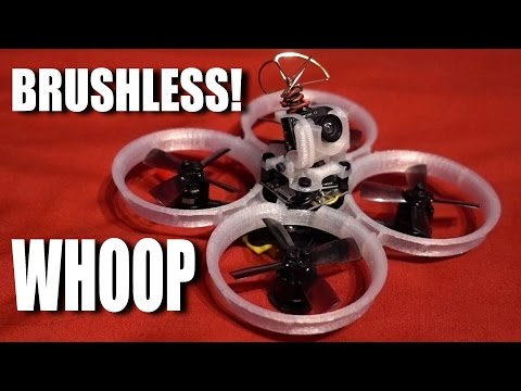 A Brushless Tiny Whoop! - UCKE_cpUIcXCUh_cTddxOVQw