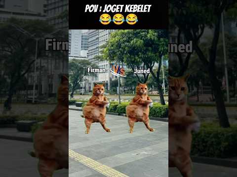 Pov : Joget Kebelet 😂 #meme #kucing #cat #funny #animation