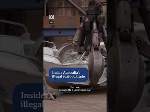 This man's boat was crushed after he was caught illegally fishing | 7.30