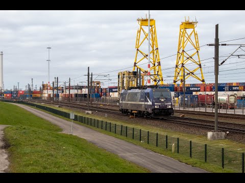 RTB Cargo 186 423 als losse loc op de havenspoorlijn