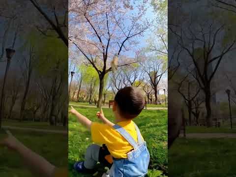 근처에 도라에몽이 있나?