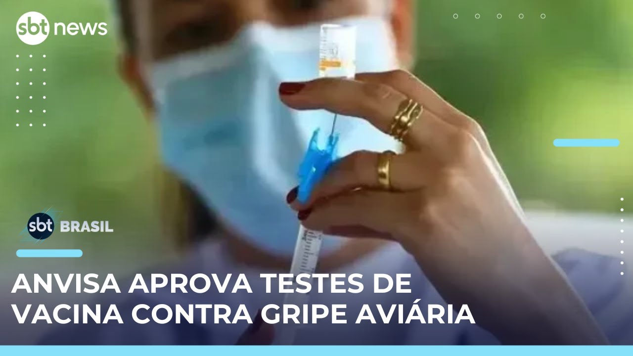 Vacina contra gripe aviária Anvisa aprova início de testes em humanos | SBTBrasil