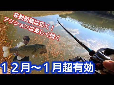 【冬バス釣り】12月～1月で超有効！ゆっくり激しく強く、矛盾してるけど冬めちゃ釣ってる釣り方【福岡バス釣り】【バークレー】【マックスセント】【ブラックバス】【溜め池】【野池】【爆釣】【ヒットワーム】