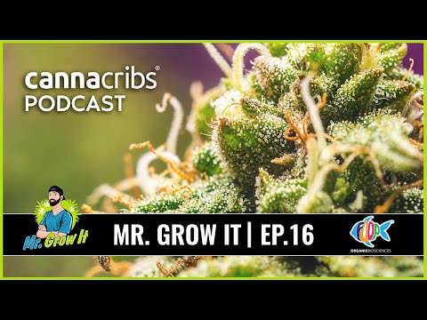 Growing Tips from Mr. Grow it - Chris Smooth - Canna Cribs Podcast (EP 16)