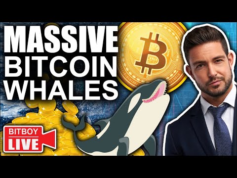 URGENT! Bitcoin PUMPING as INSANE Inflation Report Released (Massive Whale Buys)