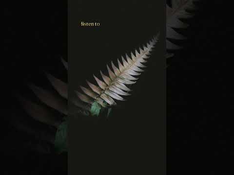 Alan Walker The Drum - Whatsapp Status