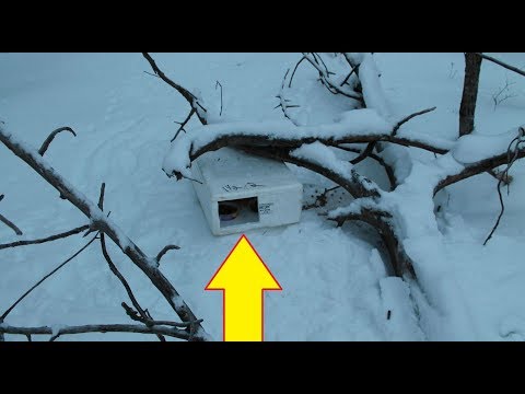 This Guy Found A Mysterious Box In The Snow  Nothing Could Have Prepared Him For What Was In It - UCOaD4JxNYk29LHbHTOx3SQA