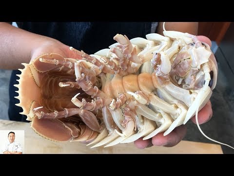 GRAPHIC: Real Live Isopod Hour | Cut, Clean, Cook - UCbULqc7U1mCHiVSCIkwEpxw