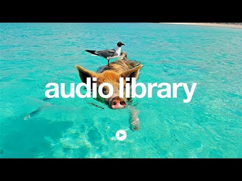 Local Saloon - Silent Partner (No Copyright Music) - UCht8qITGkBvXKsR1Byln-wA