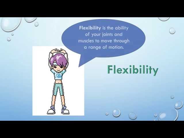 What Are The Examples Of Health Related Fitness Tuddret
