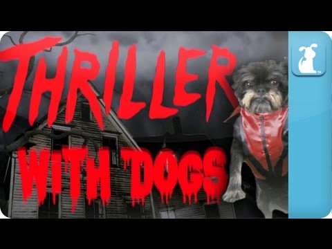 Thriller...With Dogs - Petody - UCPIvT-zcQl2H0vabdXJGcpg