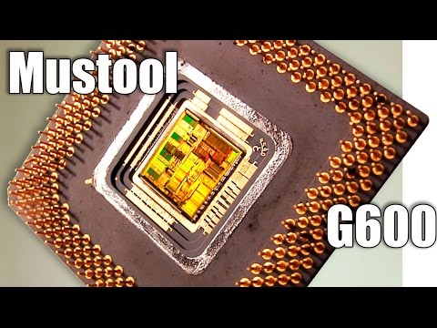 Mustool G600 Цифровой портативный микроскоп 1-600X - UCu8-B3IZia7BnjfWic46R_g