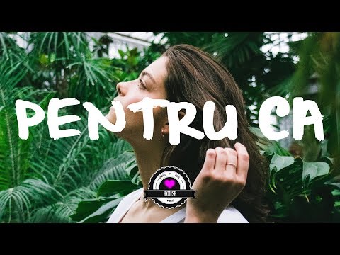 INNA feat. The Motans - Pentru Ca (Lyric Video) | Midi Culture Remix - UCwIgPuUJXuf2nY-nKsEvLOg