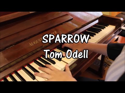 Tom Odell - Sparrow (piano cover)