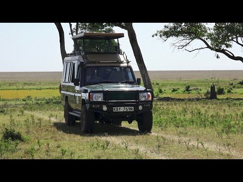 A Day on Safari in the Masai Mara - UCNudOoof-CFZU4Z6VCc0LRQ