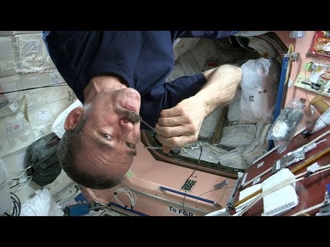 Astronaut Chris Hadfield and Chef David Chang Test Gourmet Space Food - UCiDJtJKMICpb9B1qf7qjEOA