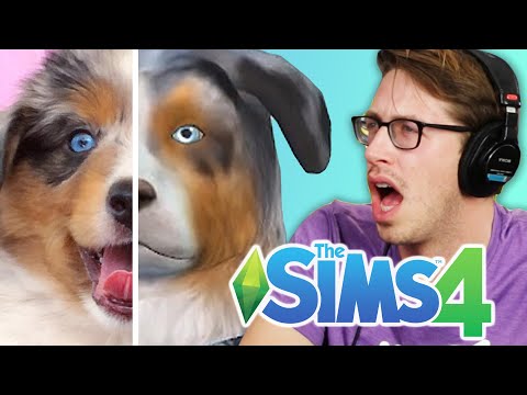 Keith Controls His Friends' Pets In The Sims 4 Cats & Dogs - UCBUVGPsJzc1U8SECMgBaMFw