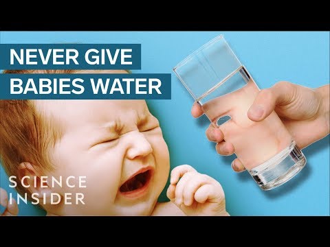 Why Babies Can't Drink Water - UC9uD-W5zQHQuAVT2GdcLCvg