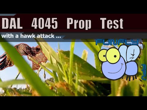 DAL 4045 Prop Test (with hawk attack) - UCQ2264LywWCUs_q1Xd7vMLw