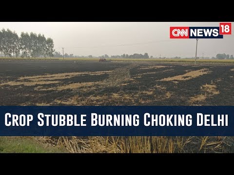 WATCH #Reality | Helpless Farmers BURNING Paddy Stubble UNKNOWINGLY Contribute To Air Pollution #Delhi #India #Diwali