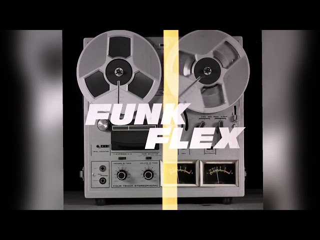 DJ Funk Flex Freestyle Music