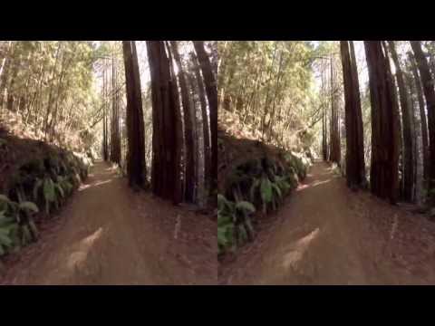 3D FPV Quadcopter - Redwood Trail - UC8SRb1OrmX2xhb6eEBASHjg