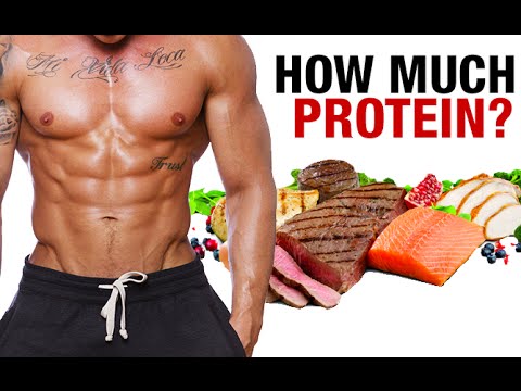 How Much Protein Can You Digest Per Meal? (ABSORPTION MYTH) - UCe0TLA0EsQbE-MjuHXevj2A