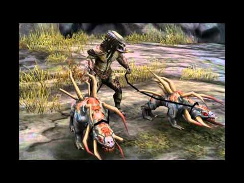 predators video