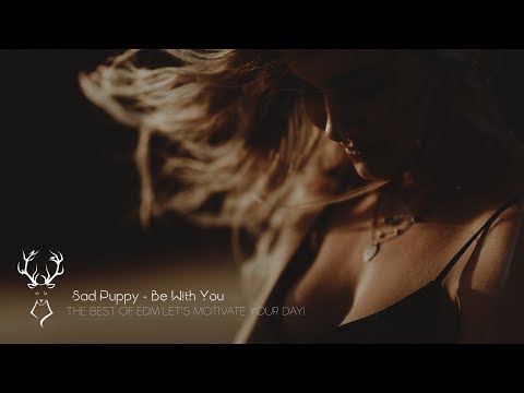 Sad Puppy - Be With You  [Pop Future Bass] - UCUavX64J9s6JSTOZHr7nPXA