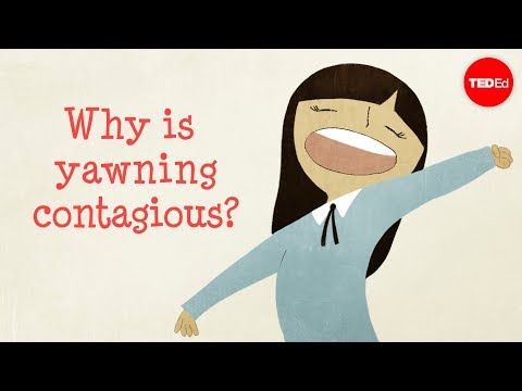 Why is yawning contagious? - Claudia Aguirre - UCsooa4yRKGN_zEE8iknghZA