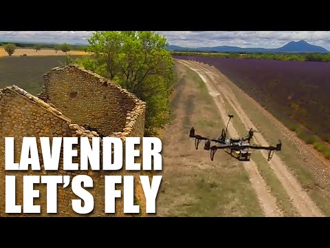 Flite Test - Lavender Let's Fly - UC9zTuyWffK9ckEz1216noAw