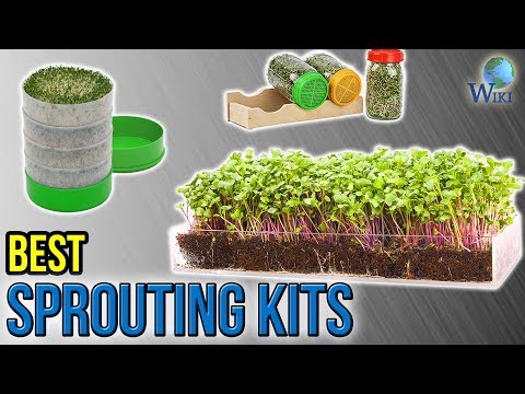 8 Best Sprouting Kits 2017 - UCXAHpX2xDhmjqtA-ANgsGmw