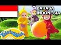 Teletubbies Bahasa Indonesia Main Alat-Alat  Full Episode - HD  Kartun Lucu