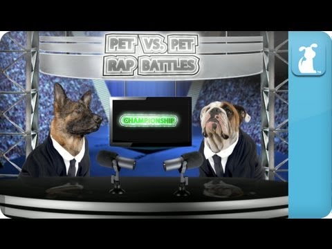 Pet vs. Pet Rap Battle Tournament Championship Results Show - UCPIvT-zcQl2H0vabdXJGcpg