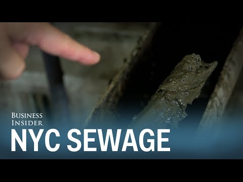 Here's where New York City's sewage really goes - UCcyq283he07B7_KUX07mmtA